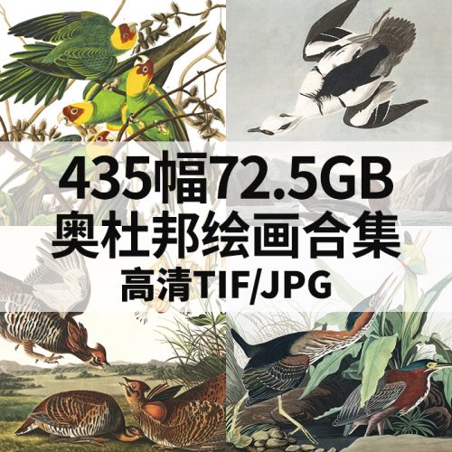 约翰·詹姆斯·奥杜邦 John James Audubon 高清作品集435幅72.5GB打包下载