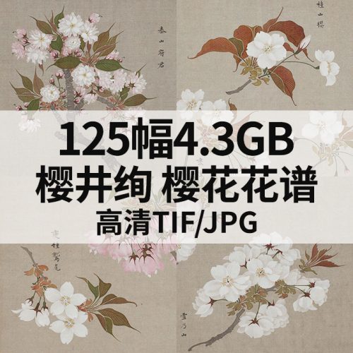 樱井绚 樱花花谱手绘花卉素材绘画高清图125幅4.3GB打包下载