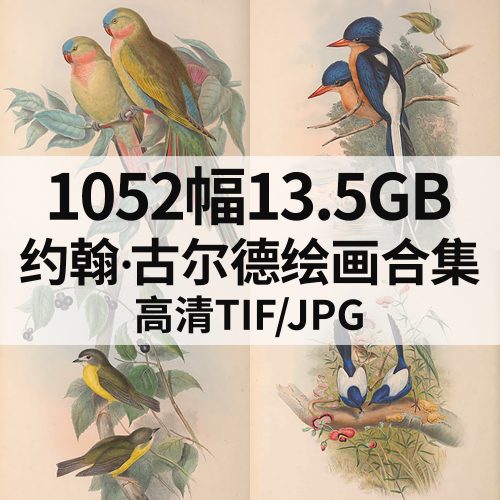 约翰·古尔德 John Gould 绘画高清图1052幅13.5G打包下载